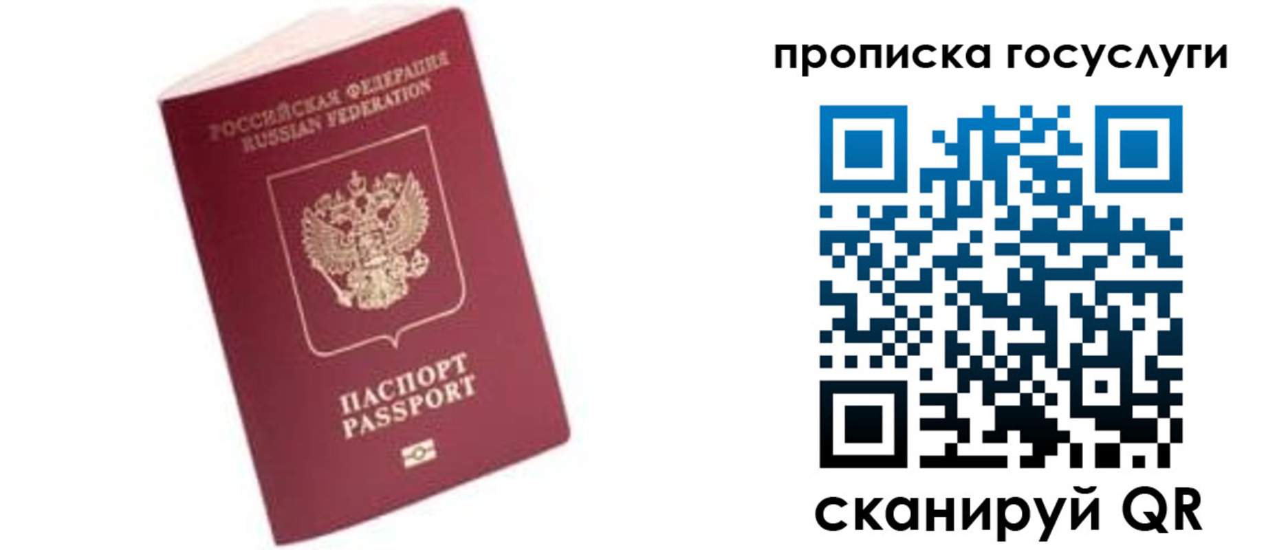 прописка в Снежногорске